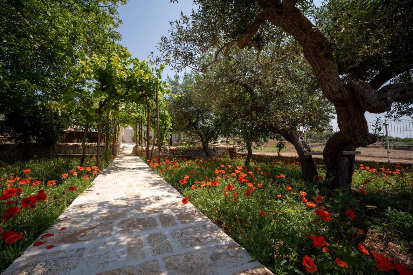 Valle D'Itria Trulli E Alcova Mikael Чистернино Экстерьер фото